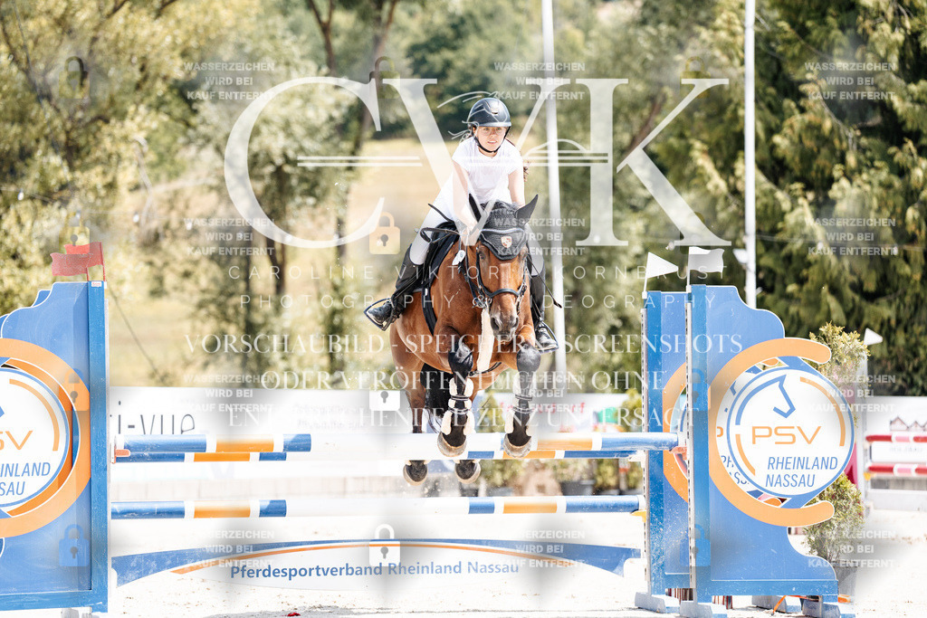 CK907953 | Turnierfotografie Pferdefotografie Trier Rheinland-Pfalz Pferdesport Reitsport Tierfotografie Sportfotografie Pferdevideo Pferdevideografie Equestrianvideography equestrianphotography  - Realisiert mit Pictrs.com
