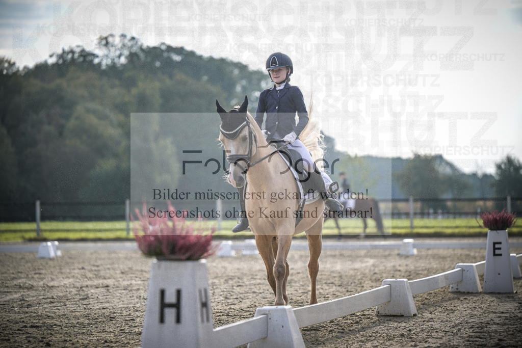 DOS_4811 | Entdecke hochwertige Reitturnierfotos von Foto Oger. Professionell, emotional und authentisch – jetzt Lieblingsmomente im Shop bestellen.Deutschlandweite Turnierfotografie. - Realisiert mit Pictrs.com