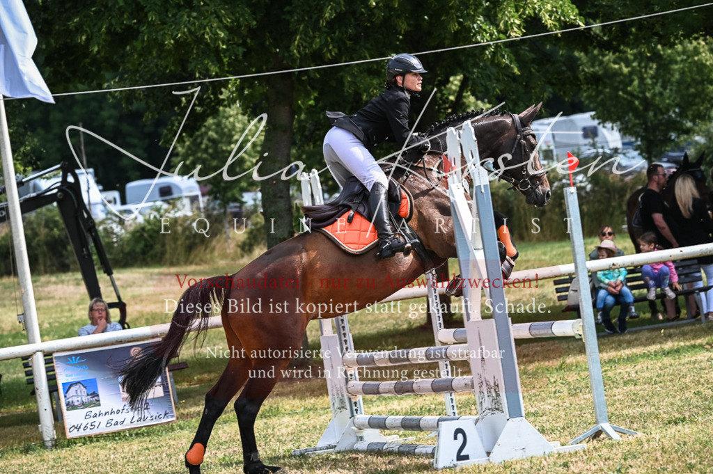 DSC_8286 | Pferde- und Turnierfotografie in Westsachsen. Pferdeportraits, Auftragszeichnungen und intuitive Kunst.