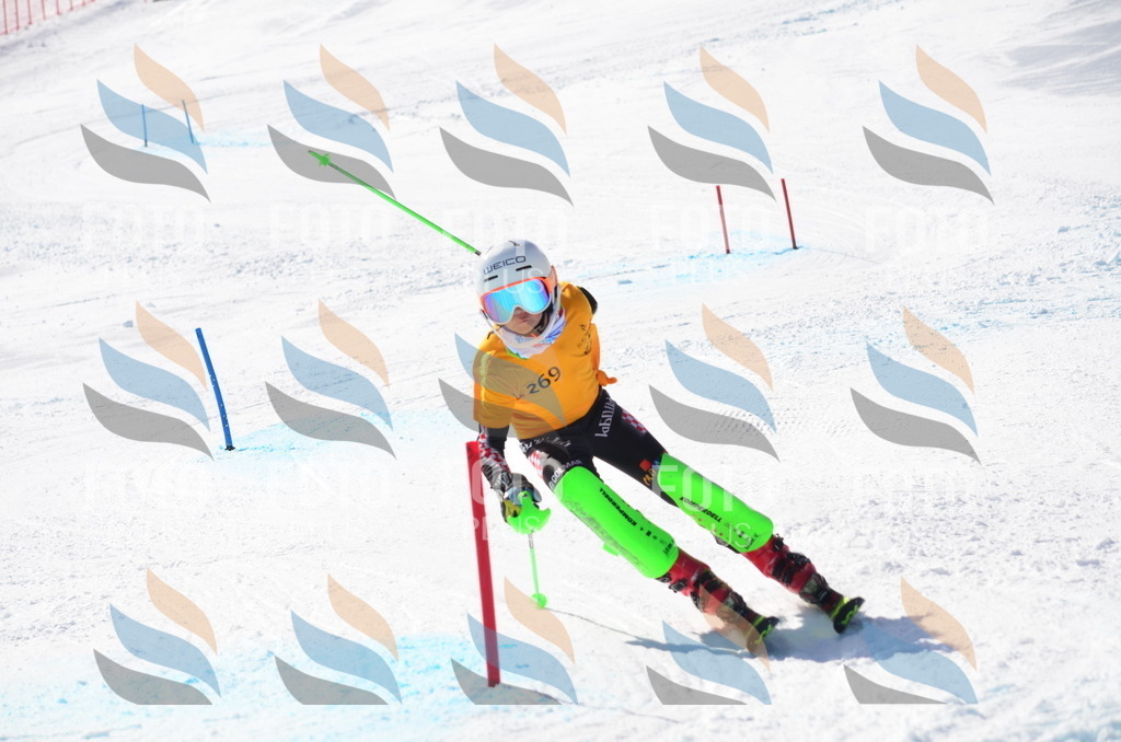 C8576 | holidayphoto