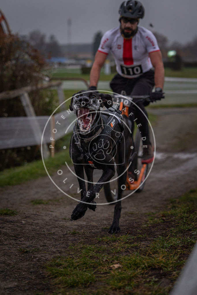 CaniXpix_0L8A0368 | Hundefotografie, Tierfotograf, Pfotenfotografie, Fotoshooting Hund, Hunde Portrait, Hundesport, Hundeportraits, Heideshooting, Hunde, Sportfotograf, Hundefotograf, Turnierhundsport, THS,  - Realisiert mit Pictrs.com