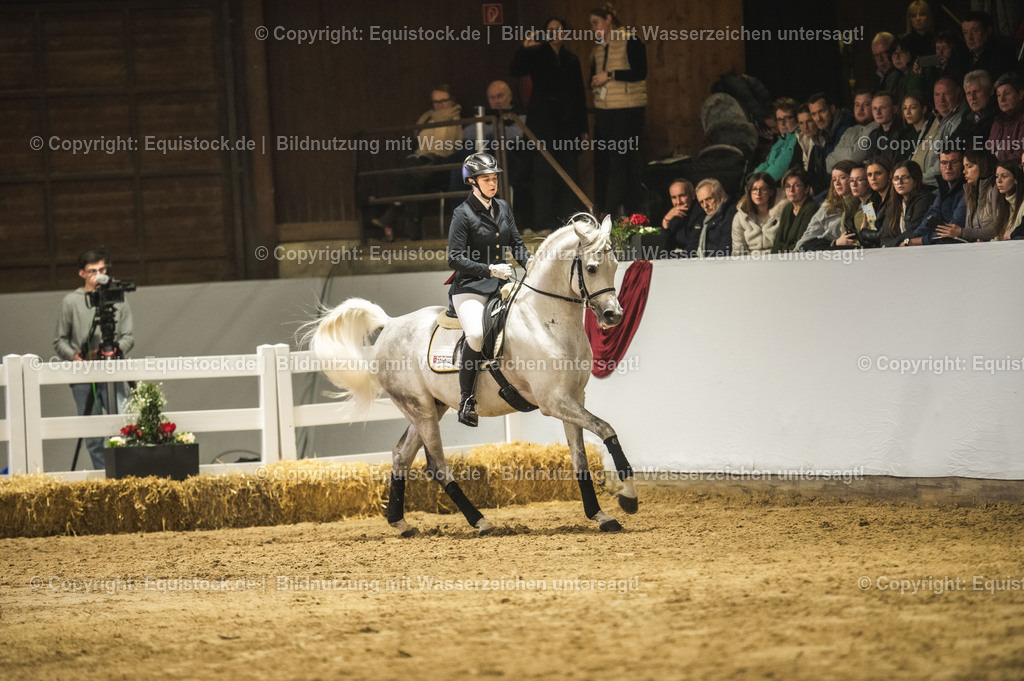 20240302_Hengstvorstellung_Marbach_TOMsPiC_1030 | equistock