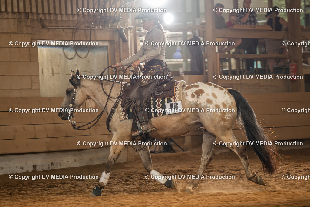 NID01666 | dv-media-shop - Realisiert mit Pictrs.com