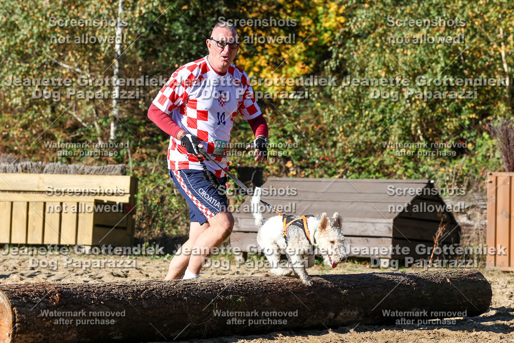 Dog Paparazzi - Strongdog 10-25-2153 | Dog Paparazzi Jeanette Grottendiek Fotografie & Videografie - Realisiert mit Pictrs.com