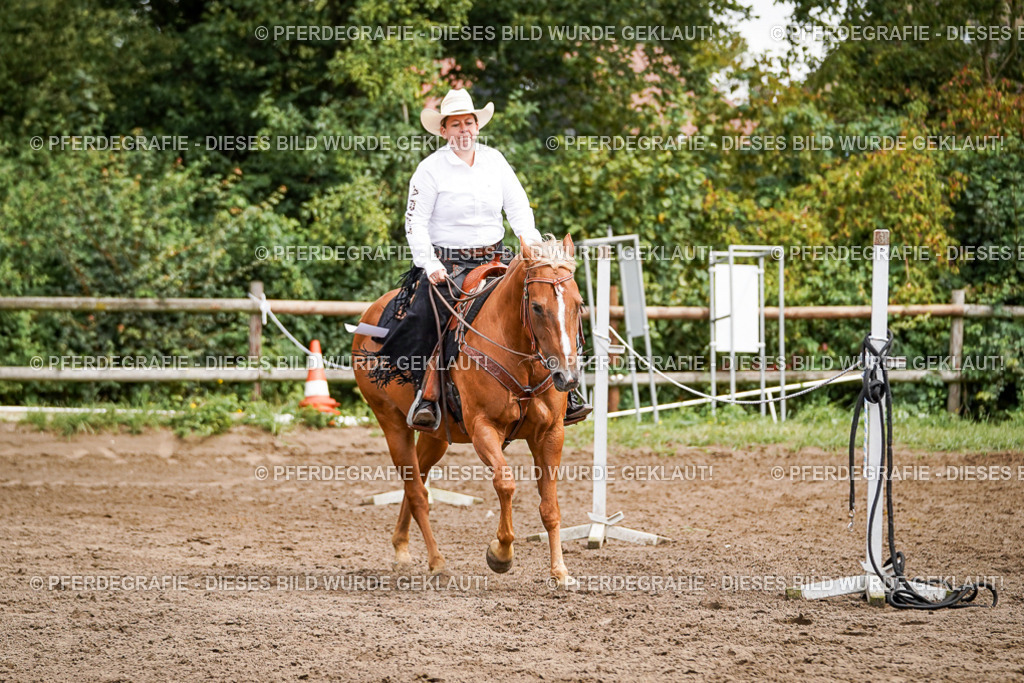 DSC06789 | Pferdegrafie