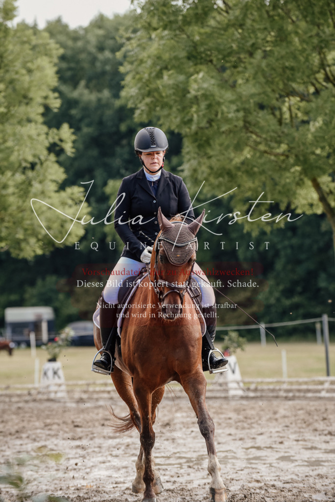 DSC_9253 | Pferde- und Turnierfotografie in Westsachsen. Pferdeportraits, Auftragszeichnungen und intuitive Kunst.