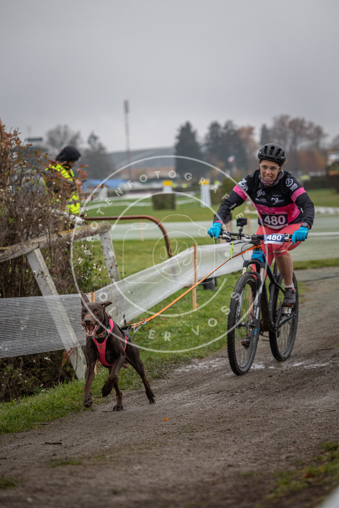 CaniXpix_0L8A1750 | Hundefotografie, Tierfotograf, Pfotenfotografie, Fotoshooting Hund, Hunde Portrait, Hundesport, Hundeportraits, Heideshooting, Hunde, Sportfotograf, Hundefotograf, Turnierhundsport, THS,  - Realisiert mit Pictrs.com