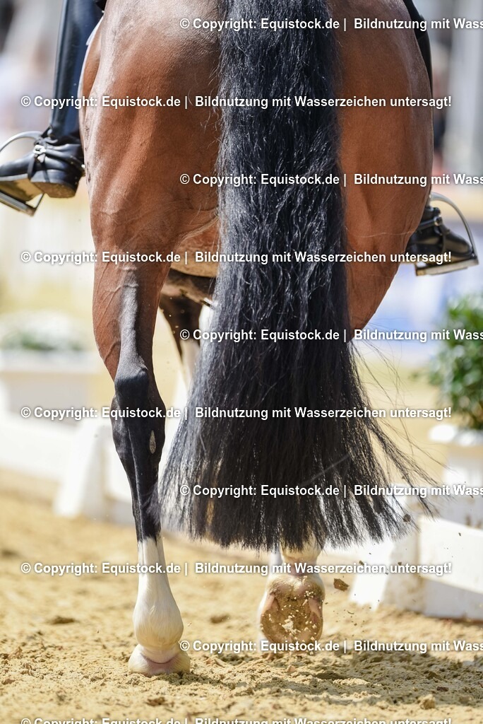20250607_1_GP-Tour_Dressage_0182 | Foto: Thomas Hartig