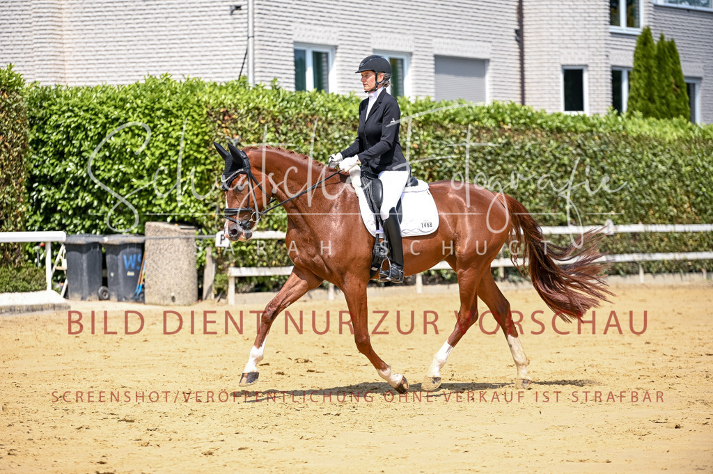 Schugtsche-Aluta25-49.Dressurpferdeprf.A-168 | Schugtsche Fotografie - Realisiert mit Pictrs.com