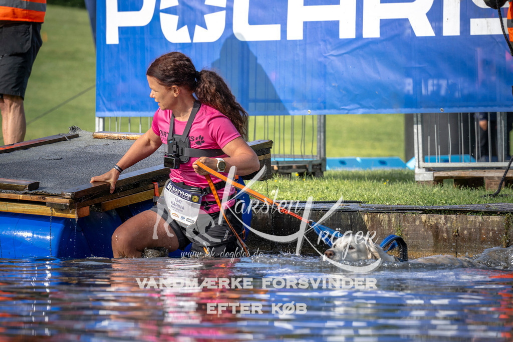 _ZZ941710712 | kk-dogfotos