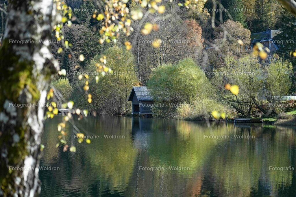 20221023 Erlaufsee - Lunz am See - Mariazell-50 | Fotografie Woldron