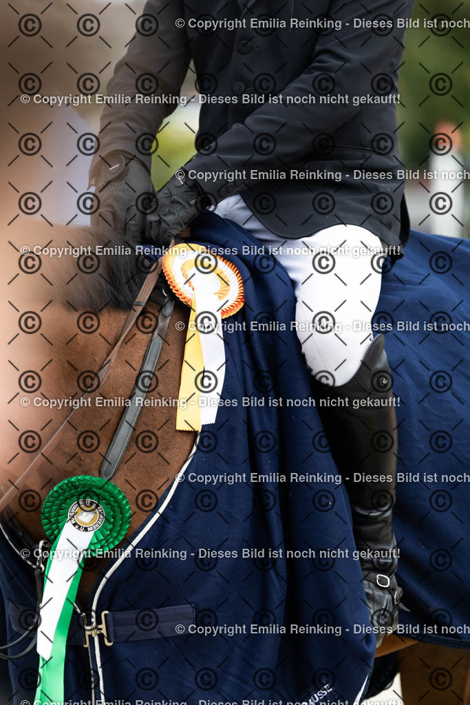 CL5A5023 | Emilia Reinking Fotografie - Realisiert mit Pictrs.com