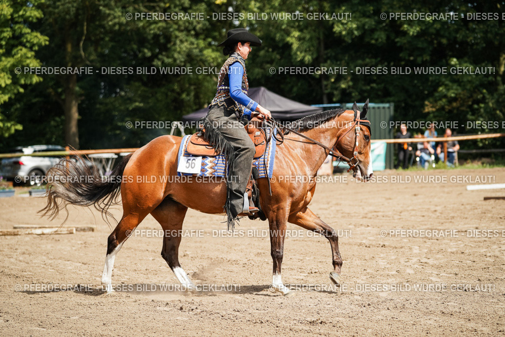 DSC06200 | Pferdegrafie