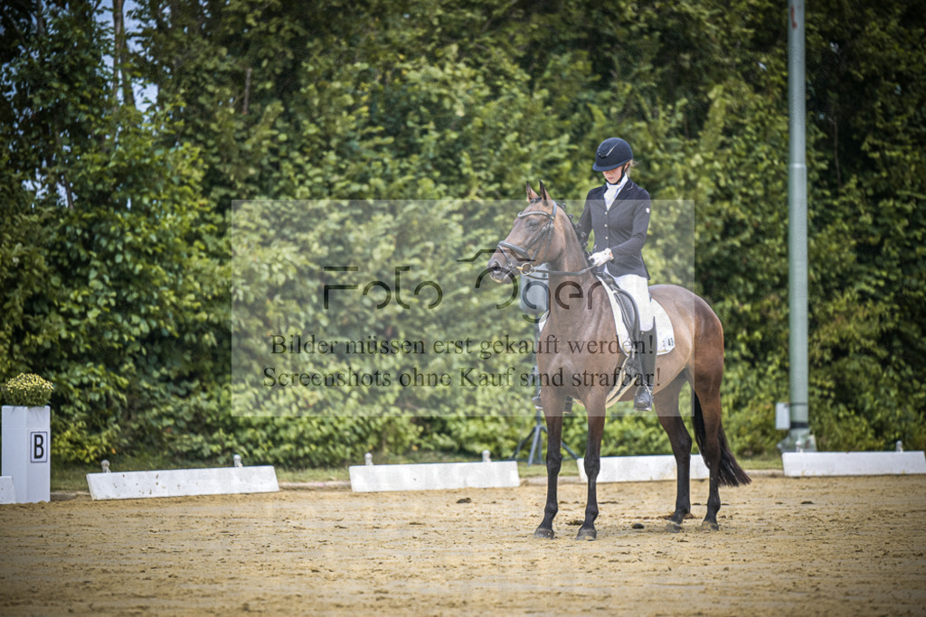 DOS_1883 | Entdecke hochwertige Reitturnierfotos von Foto Oger. Professionell, emotional und authentisch – jetzt Lieblingsmomente im Shop bestellen.Deutschlandweite Turnierfotografie. - Realisiert mit Pictrs.com