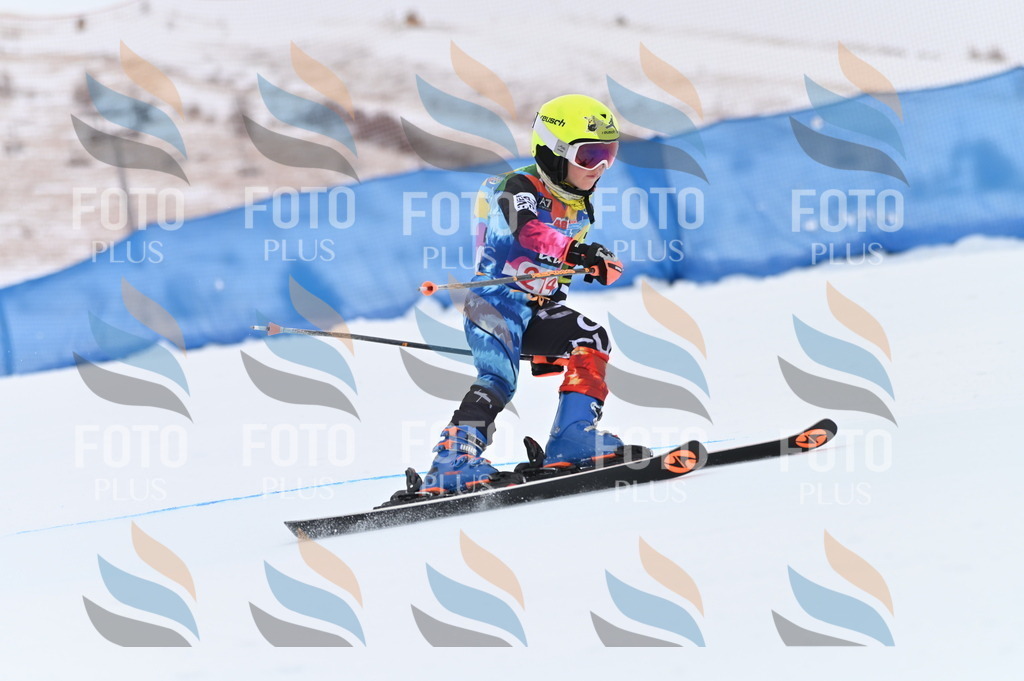 BGV_2688 | holidayphoto