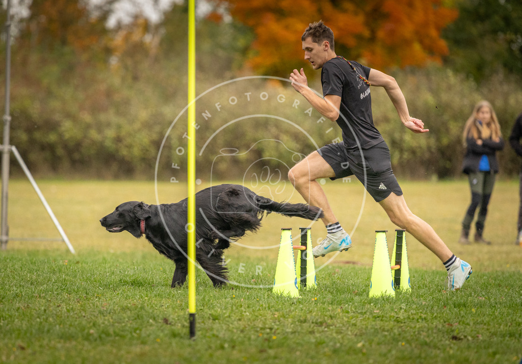 Pfotenfotografie_DV3A7672 | Hundefotografie, Tierfotograf, Pfotenfotografie, Fotoshooting Hund, Hunde Portrait, Hundesport, Hundeportraits, Heideshooting, Hunde, Sportfotograf, Hundefotograf, Turnierhundsport, THS,  - Realisiert mit Pictrs.com