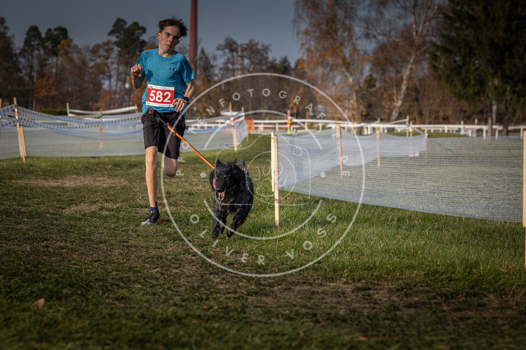 CaniXpix_0L8A9673 | Hundefotografie, Tierfotograf, Pfotenfotografie, Fotoshooting Hund, Hunde Portrait, Hundesport, Hundeportraits, Heideshooting, Hunde, Sportfotograf, Hundefotograf, Turnierhundsport, THS,  - Realisiert mit Pictrs.com