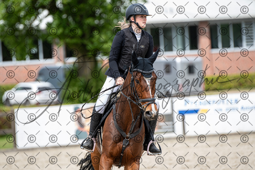 KPT_5541 | andre_photographic