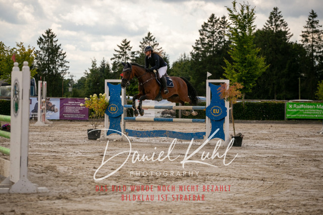 IMG_5593 | Turniersportfotografie; Pferdefotografie; Dressurfotografie