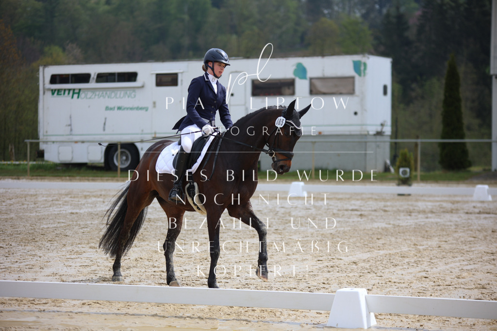 IMGT2725 | pl-fotografie