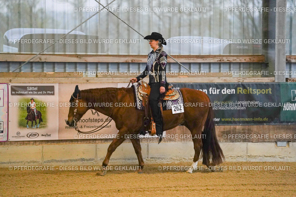 DSC08384 | Pferdegrafie