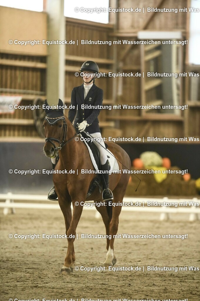 20231029_04_Dressur-WB_0083 | Foto: Thomas Hartig
