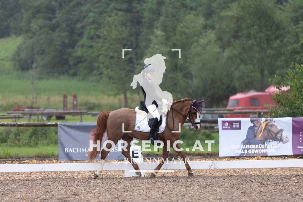 0P6A7638 | Willkommen bei Brunnmayr - Design & Fotografie – Ihrem Spezialisten für Reitturniere und Pferdeveranstaltungen in Oberösterreich, Salzburg und Bayern! Seit über 17 Jahren sind wir leidenschaftlich dabei.