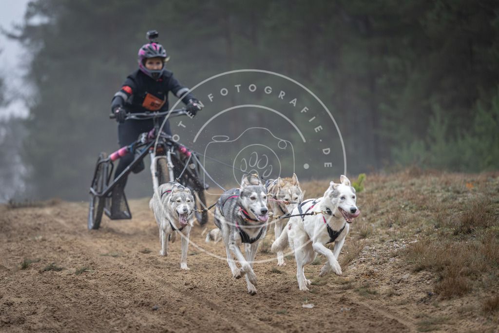 Pfotenfotografie_DV3A0630 | Hundefotografie, Tierfotograf, Pfotenfotografie, Fotoshooting Hund, Hunde Portrait, Hundesport, Hundeportraits, Heideshooting, Hunde, Sportfotograf, Hundefotograf, Turnierhundsport, THS,  - Realisiert mit Pictrs.com
