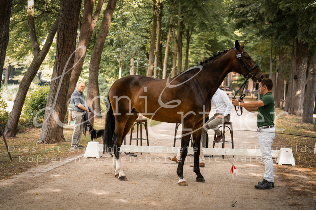 FrPfM00012 | Leoni Ertmer Photography - Realisiert mit Pictrs.com