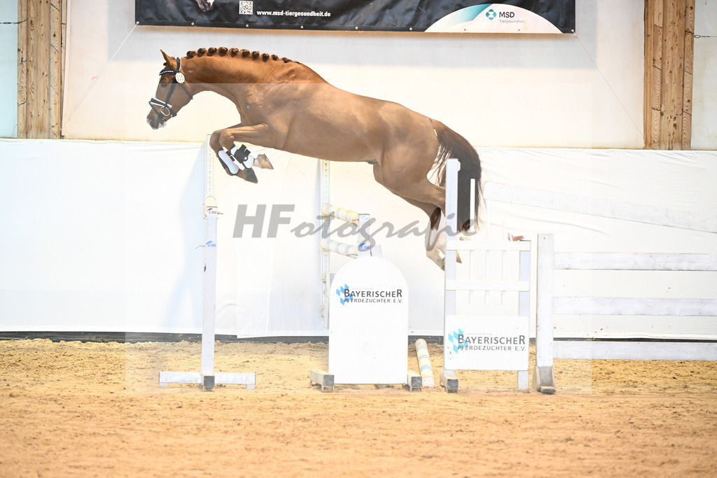 Kat-Nr. 25 v. Baggio_Heiterreiter GmbH_6241141 | hf-fotografie - Realisiert mit Pictrs.com