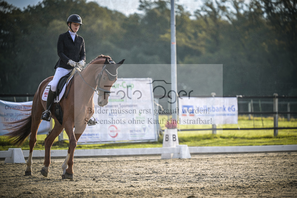 DOS_3201 | Entdecke hochwertige Reitturnierfotos von Foto Oger. Professionell, emotional und authentisch – jetzt Lieblingsmomente im Shop bestellen.Deutschlandweite Turnierfotografie. - Realisiert mit Pictrs.com