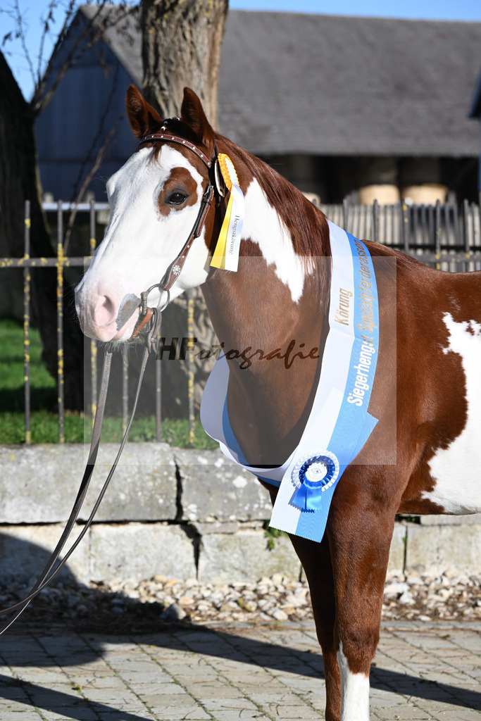 Kat-Nr. 10 ARH Like One Marvel v. One Gun_Reicherzer_49250538 | hf-fotografie - Realisiert mit Pictrs.com