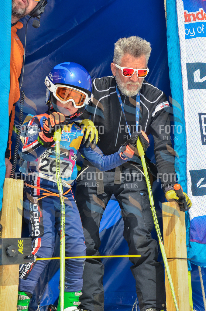 _ELE7758 | holidayphoto