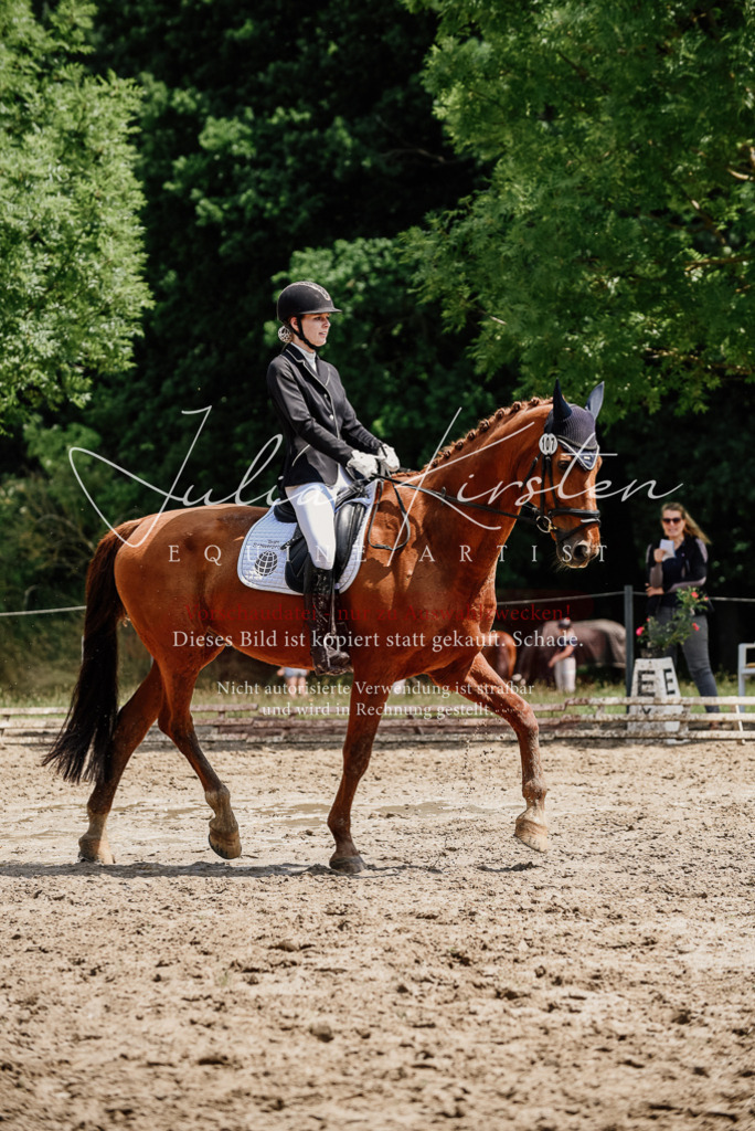 DSC_1538 | Pferde- und Turnierfotografie in Westsachsen. Pferdeportraits, Auftragszeichnungen und intuitive Kunst.