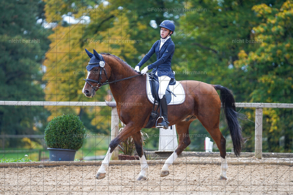 20221008-FAH00900 | Diessen am Ammersee, 2022, Dressur- und Springturnier, Reitsportbilder, Turnierfotografen Bayern, Pferdefotografen, Fotoagentur Herrmann, Turnierbilder