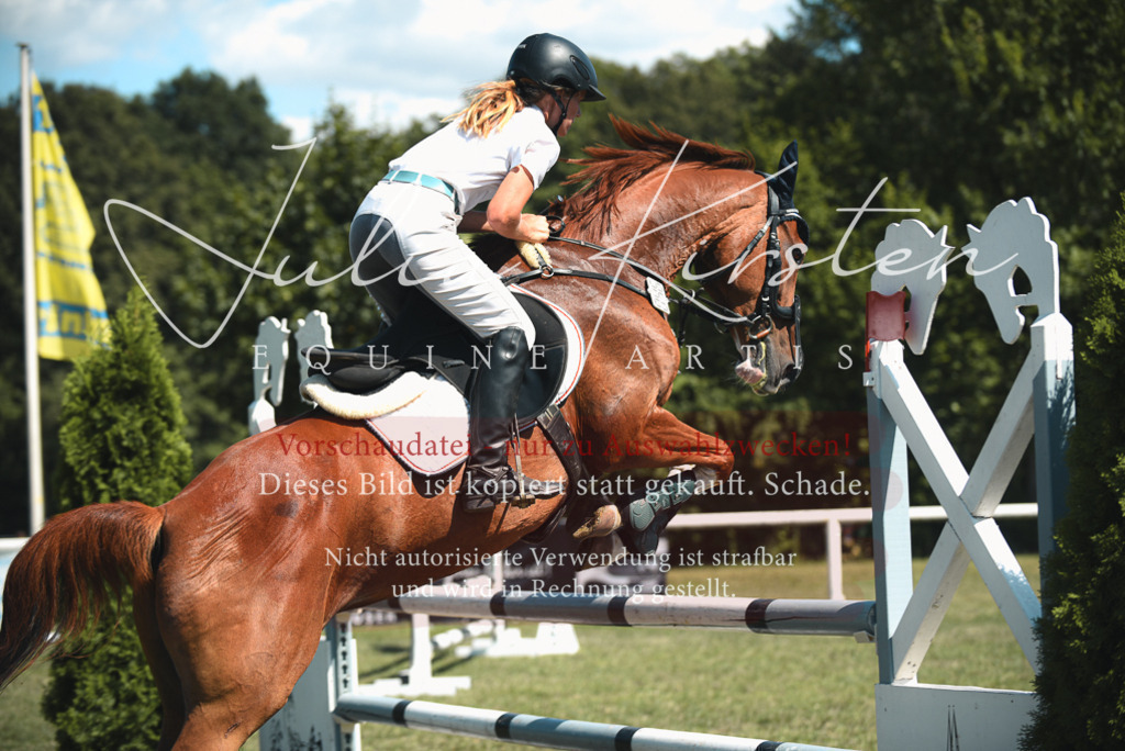 DSC_6874 | Pferde- und Turnierfotografie in Westsachsen. Pferdeportraits, Auftragszeichnungen und intuitive Kunst.