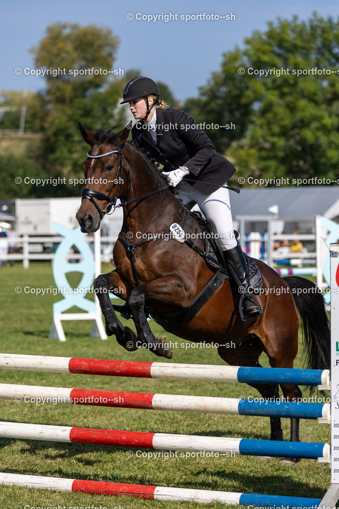 240831-VW-IS6A3477 | Sportfoto SH - Realisiert mit Pictrs.com