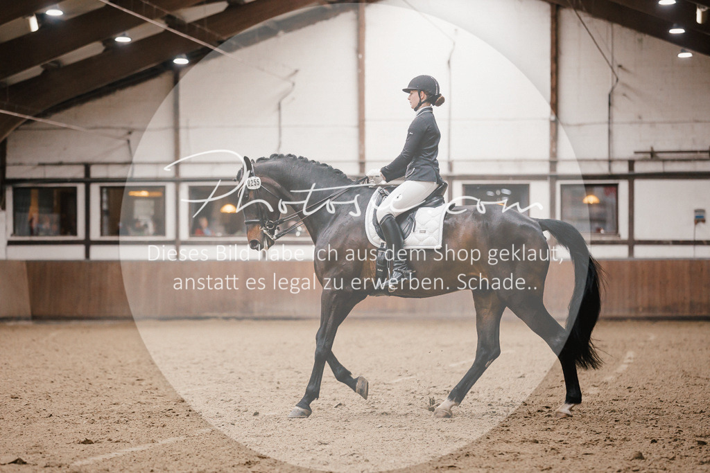 3I6A8400 | Stimmungsvolle Portraits und Reitsportfotografie im Ruhrgebiet und im Münsterland.

Pferdefotografie, Hundefotografie, Tierfotografie, Reportagen, Portraits von Tier und Mensch, Turnierfotografie in Bochum, Recklinghausen, Marl, Haltern am See, Dülmen.. - Realisiert mit Pictrs.com