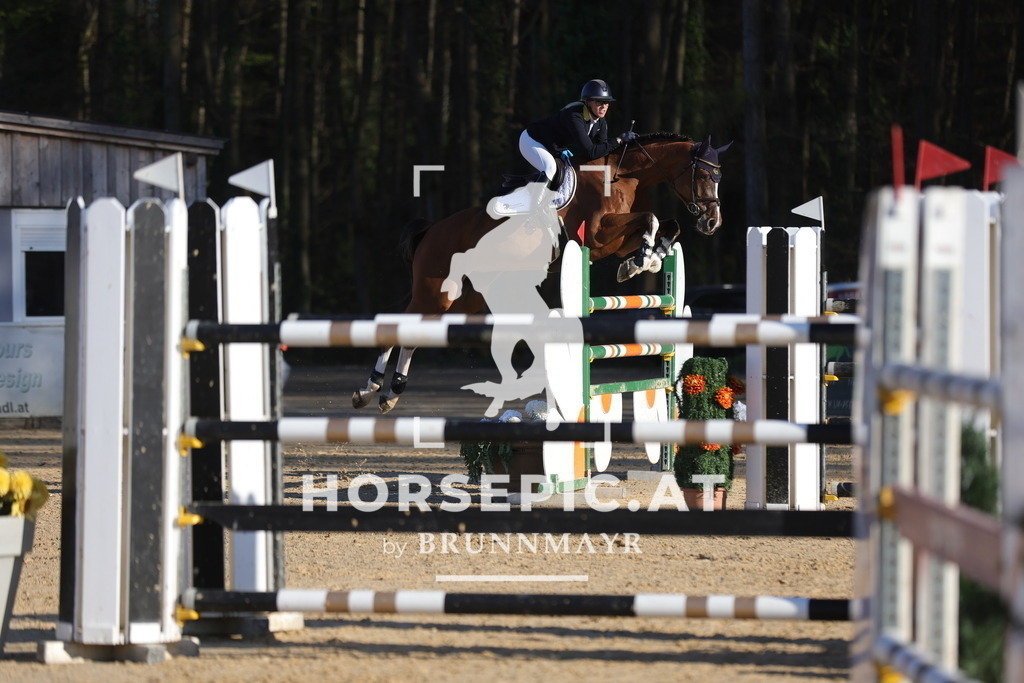 0P6A2161 | Willkommen bei Brunnmayr - Design & Fotografie – Ihrem Spezialisten für Reitturniere und Pferdeveranstaltungen in Oberösterreich, Salzburg und Bayern! Seit über 17 Jahren sind wir leidenschaftlich dabei.