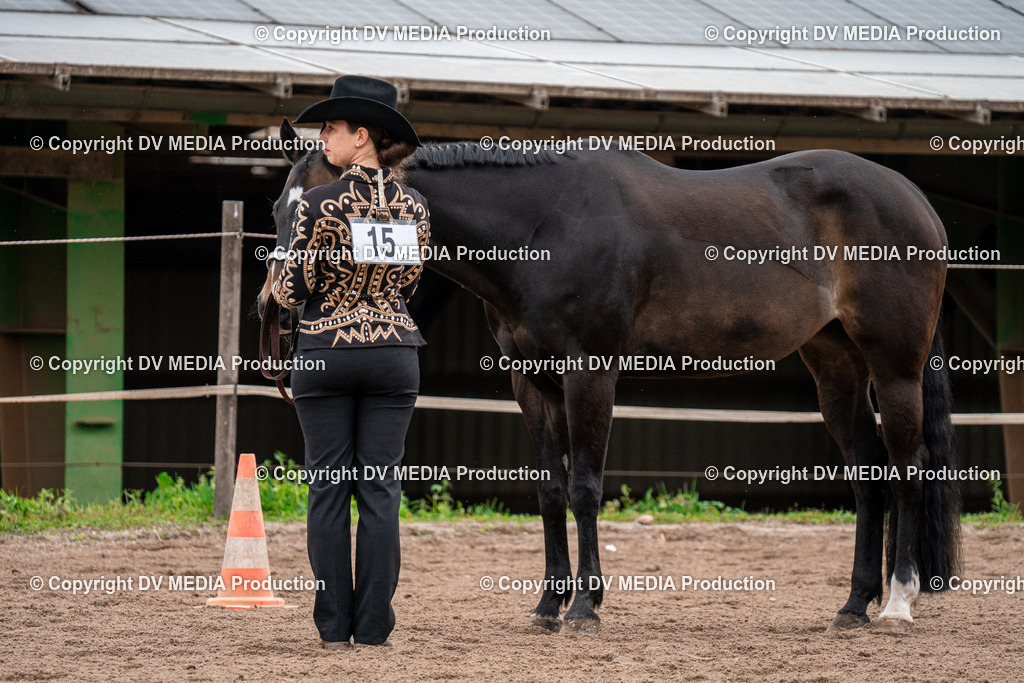 BA300117 | dv-media-shop - Realisiert mit Pictrs.com