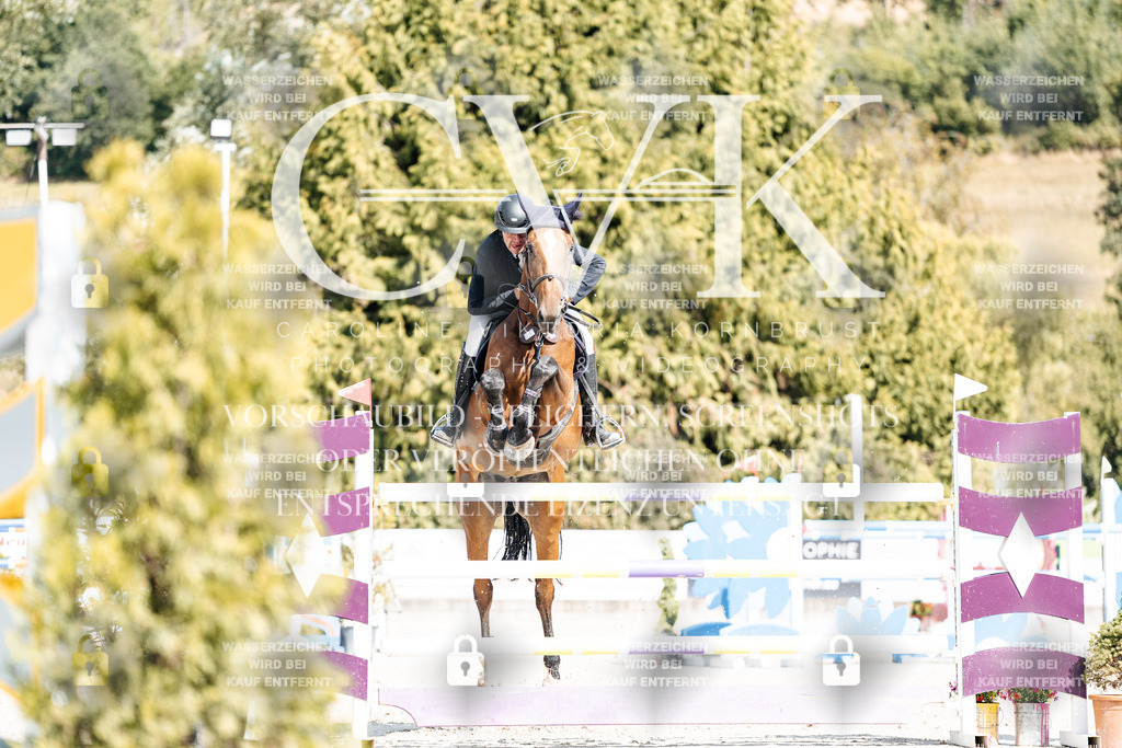 CK908840 | Turnierfotografie Pferdefotografie Trier Rheinland-Pfalz Pferdesport Reitsport Tierfotografie Sportfotografie Pferdevideo Pferdevideografie Equestrianvideography equestrianphotography  - Realisiert mit Pictrs.com