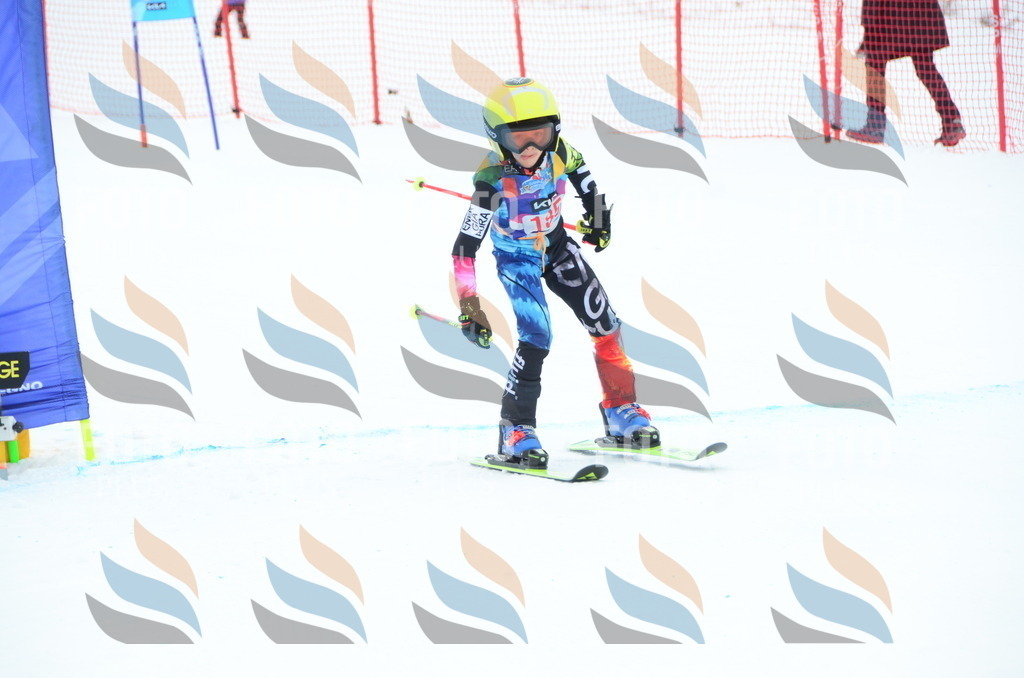 DSC_1716 | holidayphoto