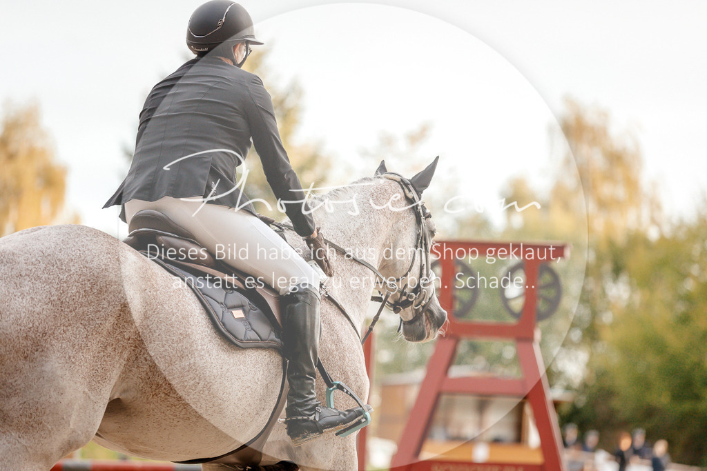 3I6A1630 | Stimmungsvolle Portraits und Reitsportfotografie im Ruhrgebiet und im Münsterland.

Pferdefotografie, Hundefotografie, Tierfotografie, Reportagen, Portraits von Tier und Mensch, Turnierfotografie in Bochum, Recklinghausen, Marl, Haltern am See, Dülmen.. - Realisiert mit Pictrs.com