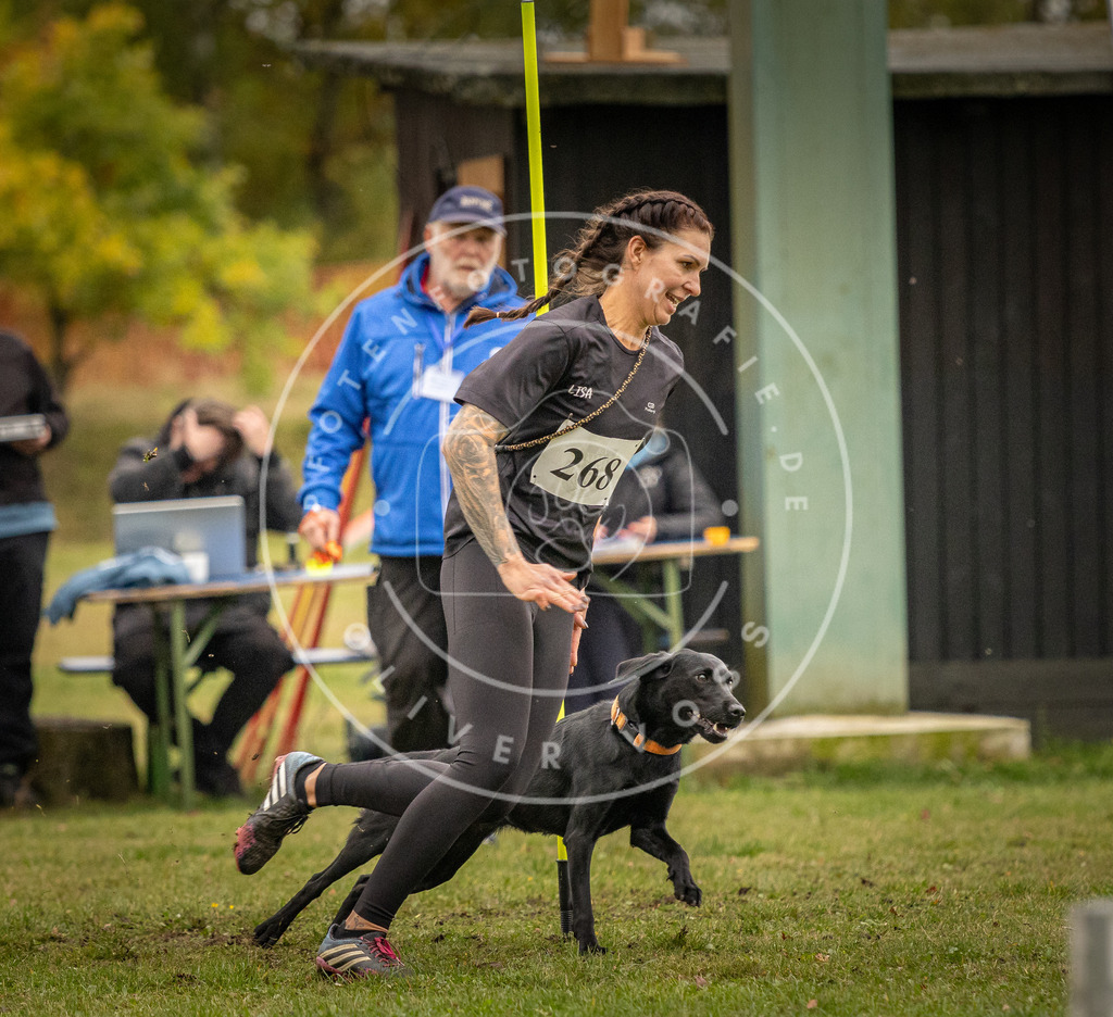 Pfotenfotografie_DV3A7578 | Hundefotografie, Tierfotograf, Pfotenfotografie, Fotoshooting Hund, Hunde Portrait, Hundesport, Hundeportraits, Heideshooting, Hunde, Sportfotograf, Hundefotograf, Turnierhundsport, THS,  - Realisiert mit Pictrs.com