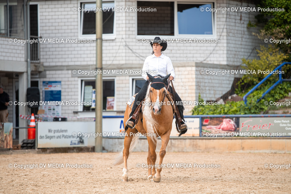 EWP_5641 | dv-media-shop - Realisiert mit Pictrs.com