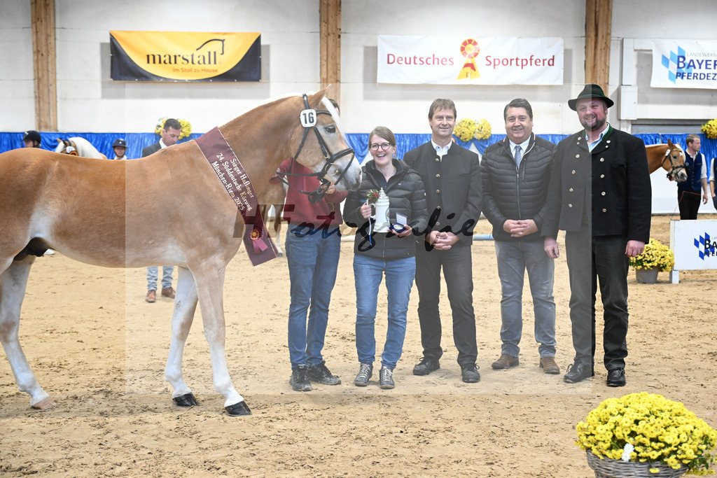 Kat-Nr. 16 nn v. Neustart_Obermeyer_48254207 | hf-fotografie - Realisiert mit Pictrs.com