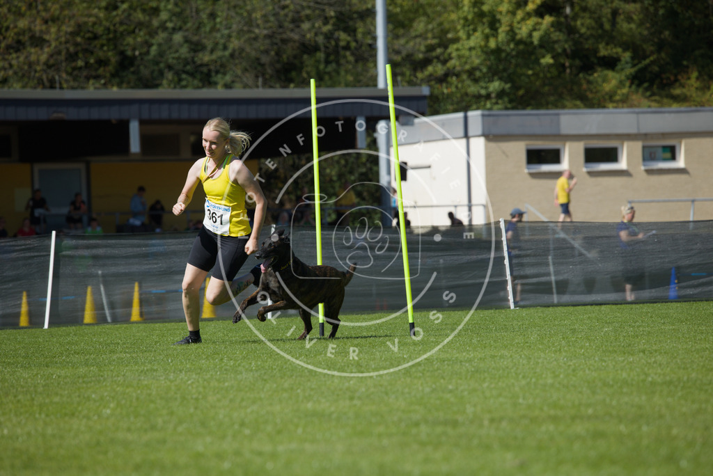 0L8A5786 | Hundefotografie, Tierfotograf, Pfotenfotografie, Fotoshooting Hund, Hunde Portrait, Hundesport, Hundeportraits, Heideshooting, Hunde, Sportfotograf, Hundefotograf, Turnierhundsport, THS,  - Realisiert mit Pictrs.com