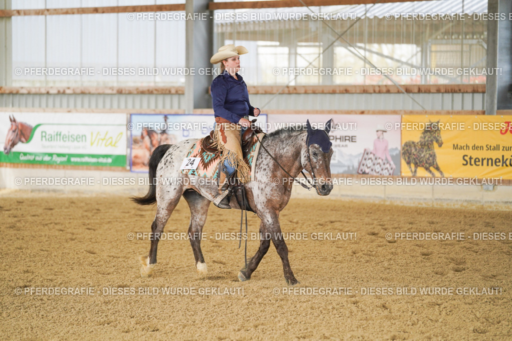 DSC02956 | Pferdegrafie