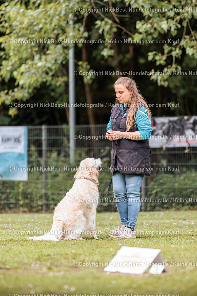 RO-Blumenthal-2026-Nickbest-Hundefotografie-0577 | Dein Hund! Dein Moment! Deine Erinnerungen! Hundefotografie in Bremen Blumenthal. Ich fange die besonderen Momente deines Vierbeiners ein – ob Indoor mit Blitzanlage oder in der freien Natur. Sicher dir dein Moment und dein Termin für eure Erinnerungen.