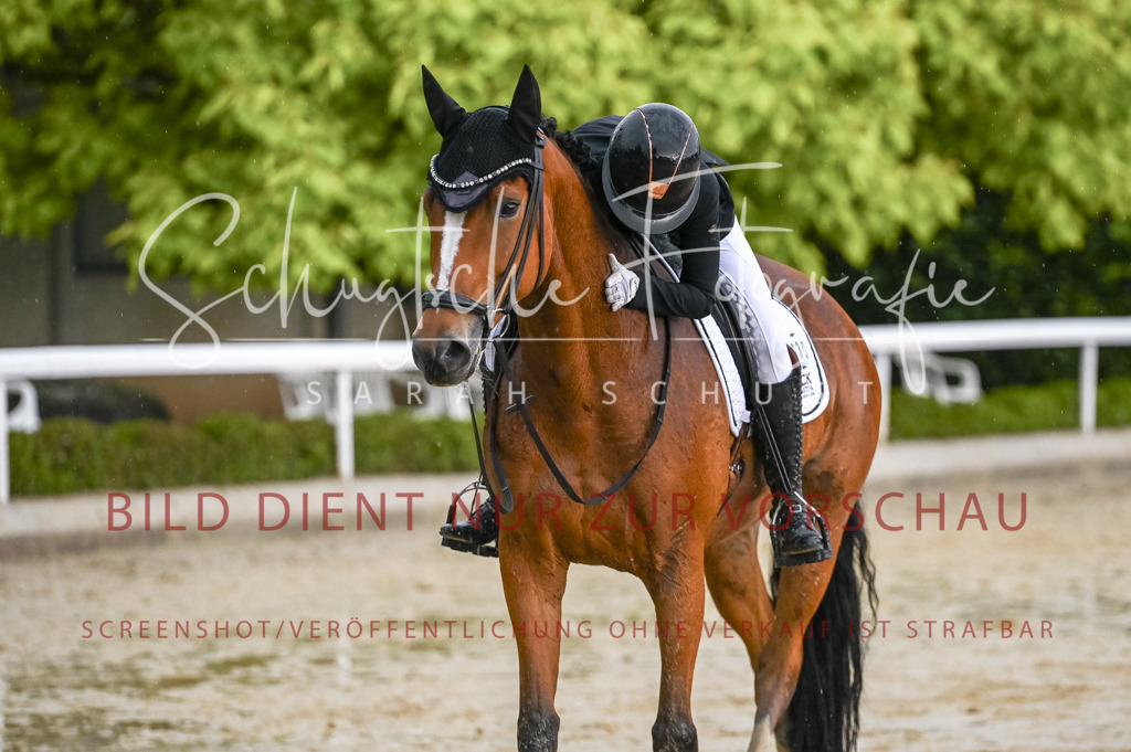 Schugtsche-Aluta25-55.Dressurreiterprf.L1Tr-291 | Schugtsche Fotografie - Realisiert mit Pictrs.com